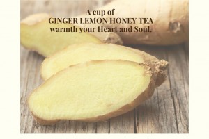Cold and Deficiency of the body are the cause of all diseases