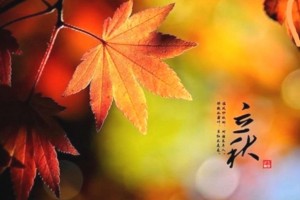 立秋