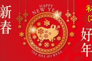 Chinese New Year Holidays Notice