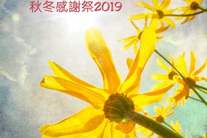 簡約養生秋冬感謝祭2019