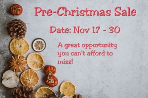 Pre-Christmas-Sale 2019