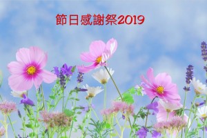 簡約養生節日感謝祭2019