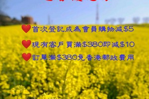 迎春優惠券2020