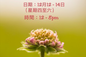銅鑼灣教協推廣週 (12月份)