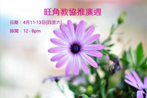 旺角教協推廣週 (四月份)
